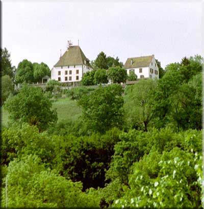 Burgistein