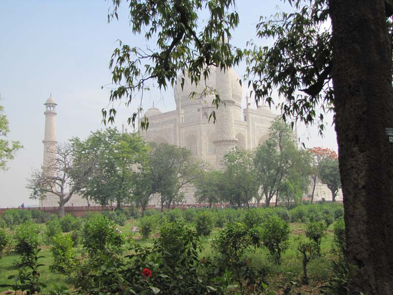 Rajastan, Agra: le Taj Mahal, le Fort Rouge