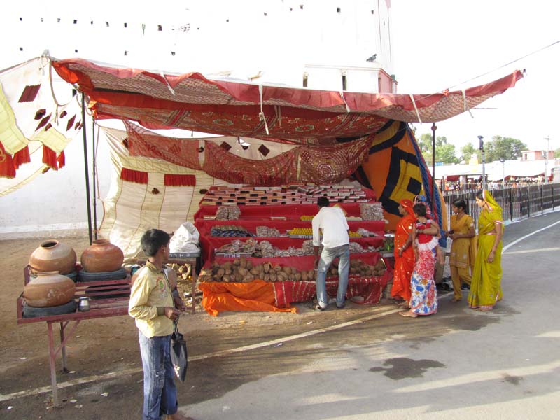 Rajastan, Deshnoke et le temple des rats