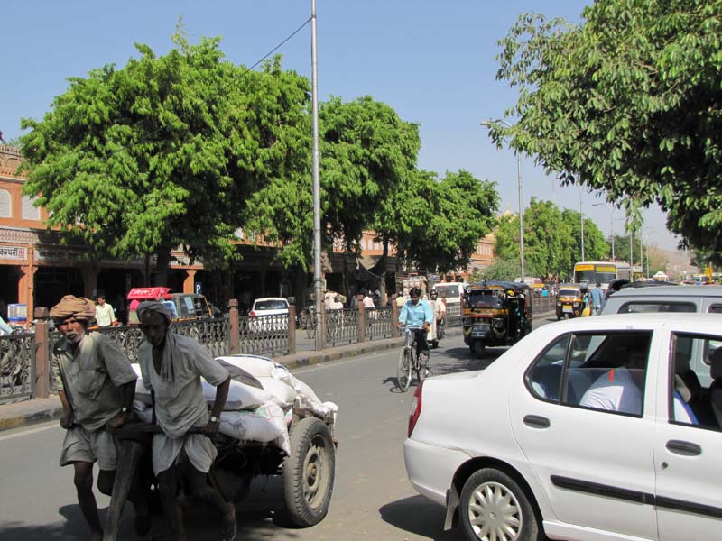 Rajastan,  Jaipur Pink City