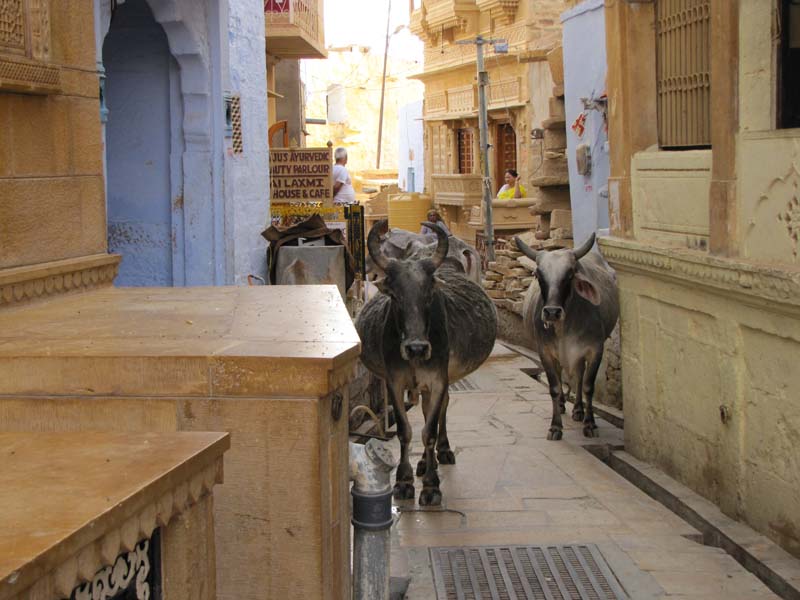 Rajastan, Jaisalmer