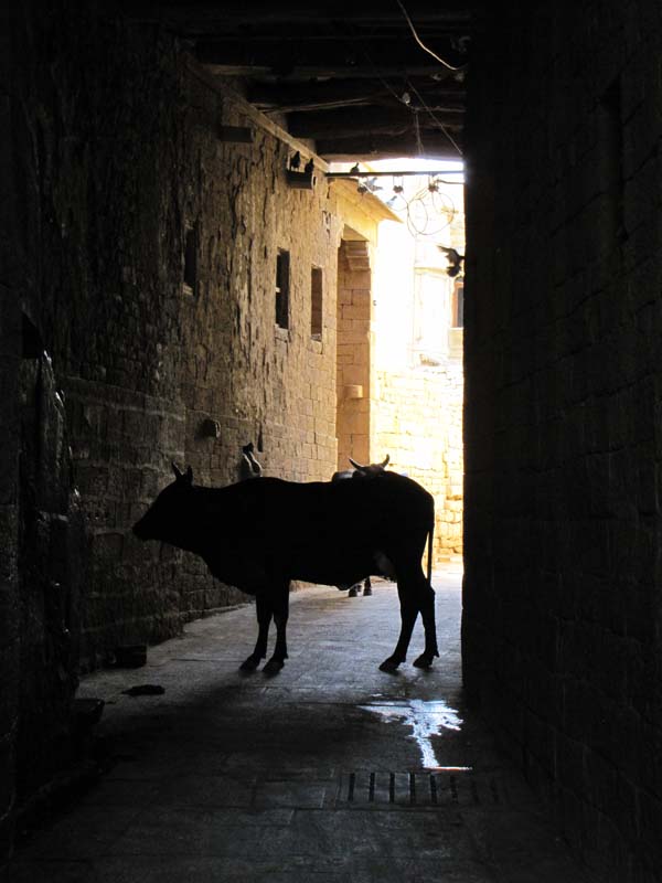 Rajastan, Jaisalmer