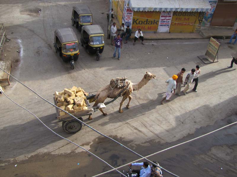 Rajastan, Jaisalmer