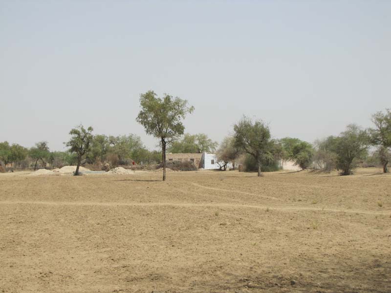 Rajastan, Jodhpur