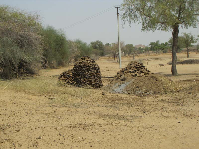 Rajastan, Jodhpur