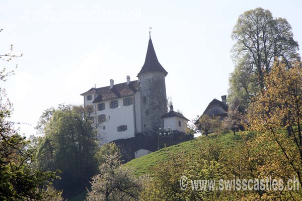 Schauensee