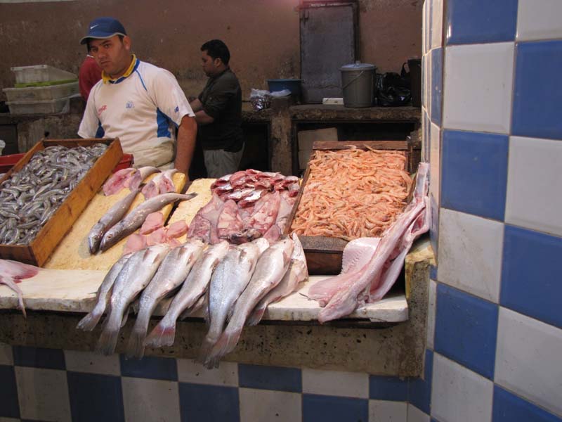 Maroc, fes