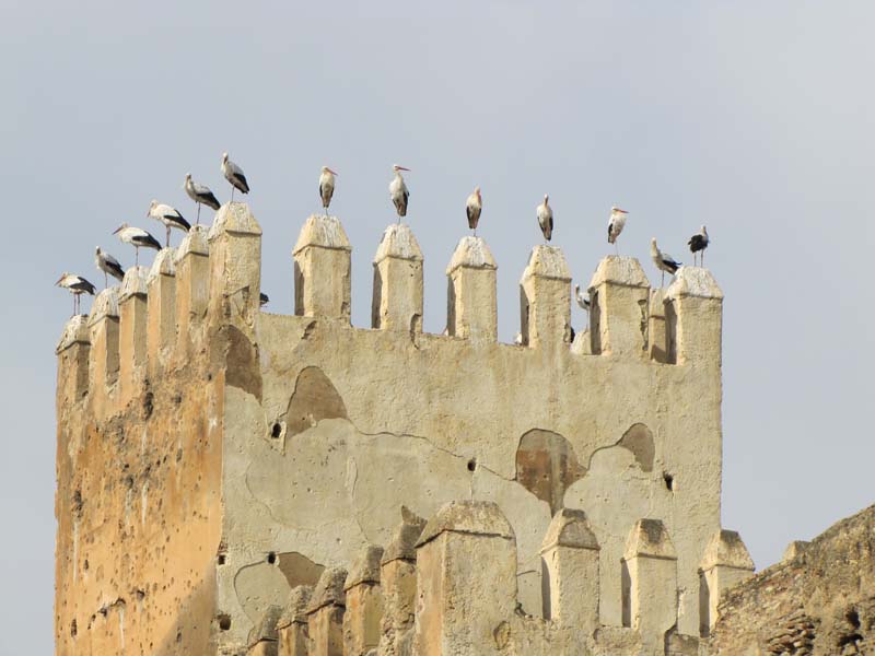 Maroc, fes