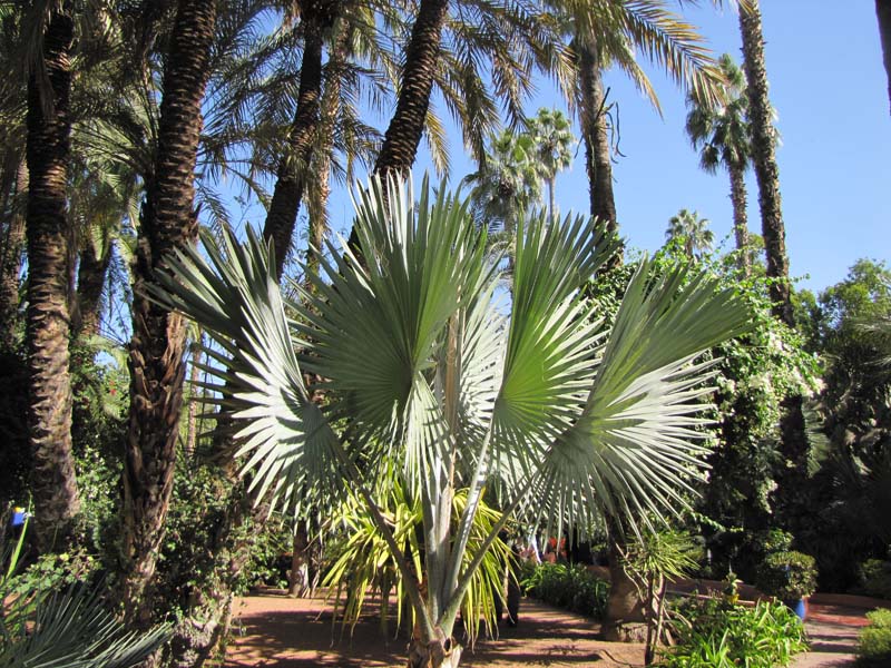 Maroc, Marrakech