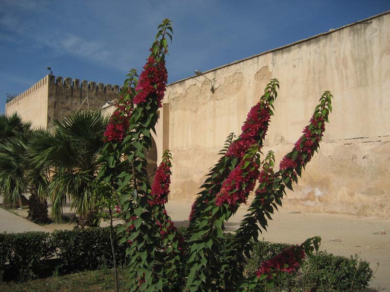 Maroc, Meknes