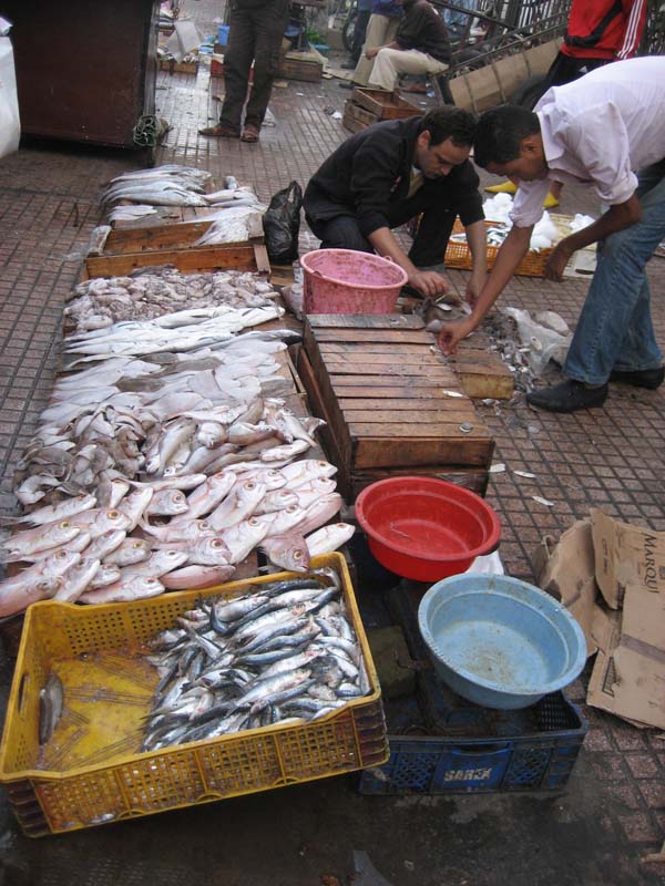 Maroc, rabat