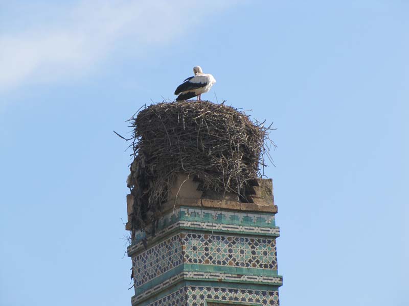 Maroc, rabat