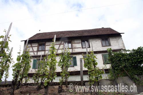 Schloss Thayngen Zum Oberhof