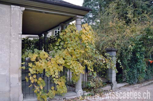 Weinfelden Scherbenhof