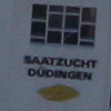 Duin Dudingen