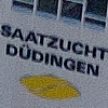 Duin Dudingen