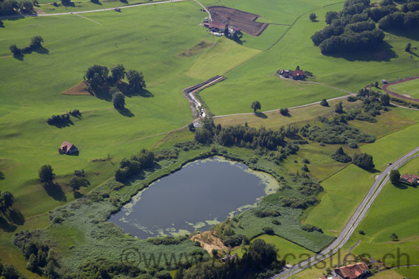 Chatel st denis