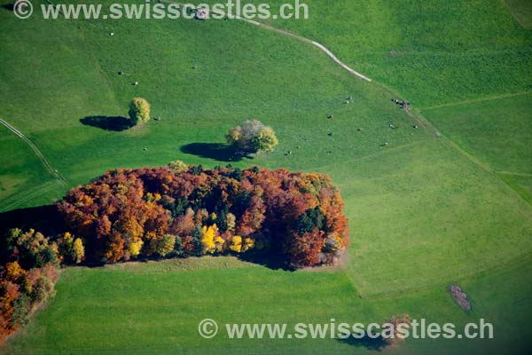 Vuisternens devant Romont