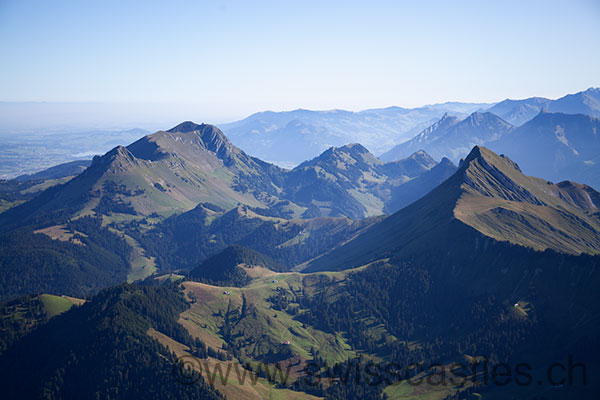 dent de Lys