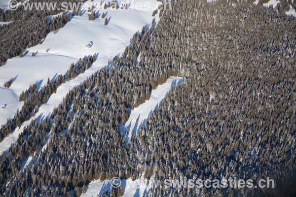 Mont tendre