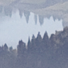 entre la dent de Lys et les Rochers de Naye