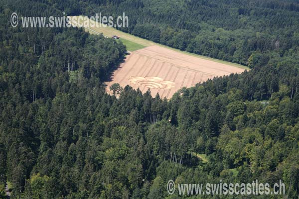 Lausanne crop circle