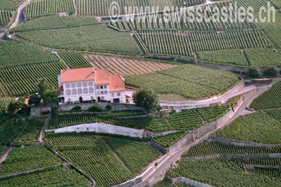 lavaux UNESCO