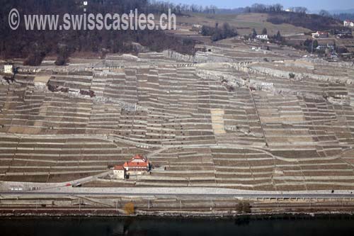 lavaux UNESCO