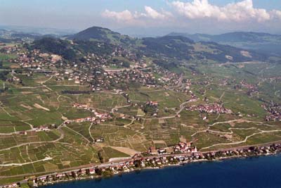 lavaux UNESCO