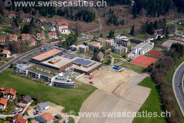 Lausanne crop circle