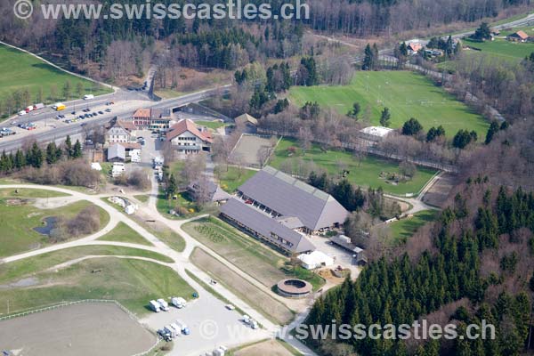 Lausanne crop circle