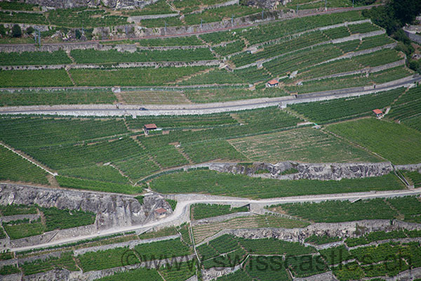 lavaux UNESCO