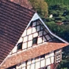 Boswil