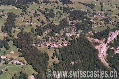 Braunwald