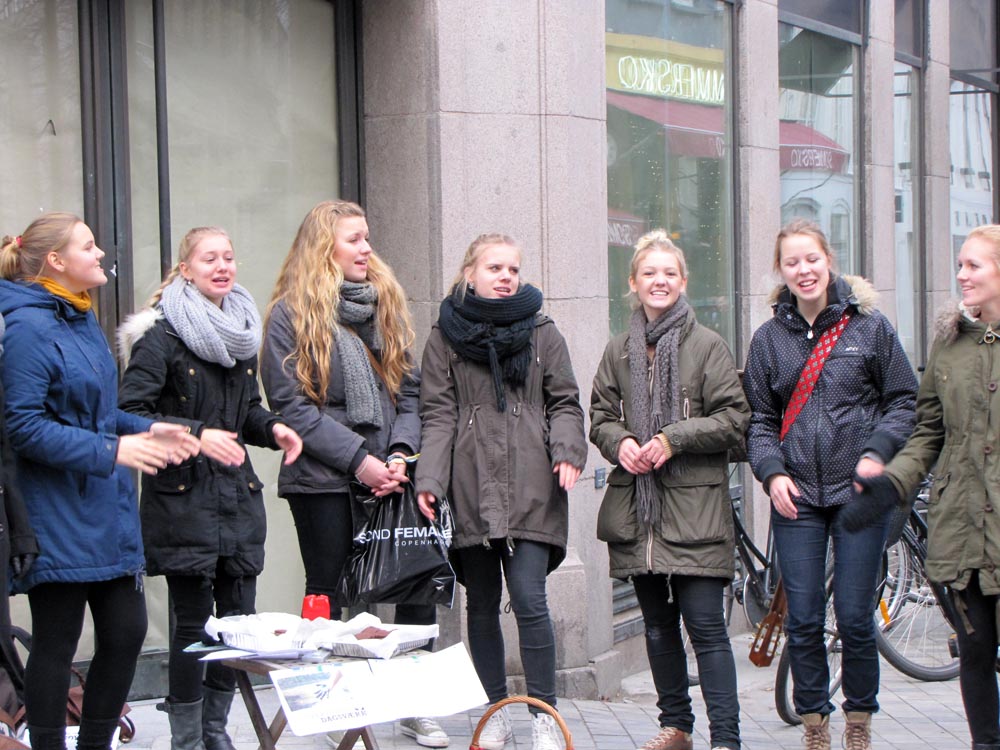 Copenhague, Promenade en ville