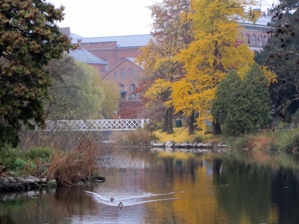 Copenhague, Jardin botanique