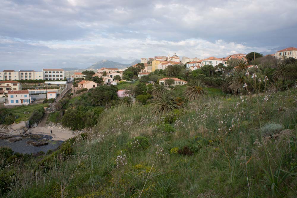 Voyage en Corse Calvi