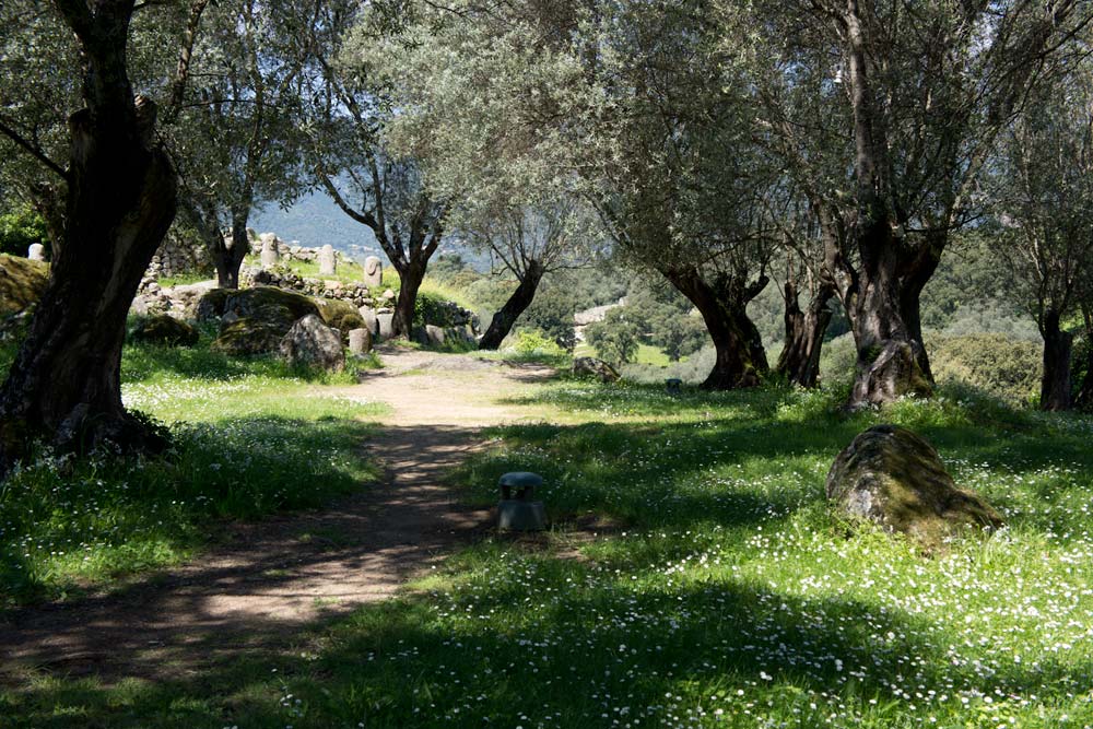 Voyage en Corse Filitosa