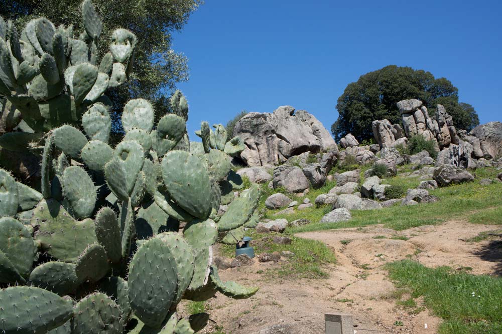 Voyage en Corse Filitosa