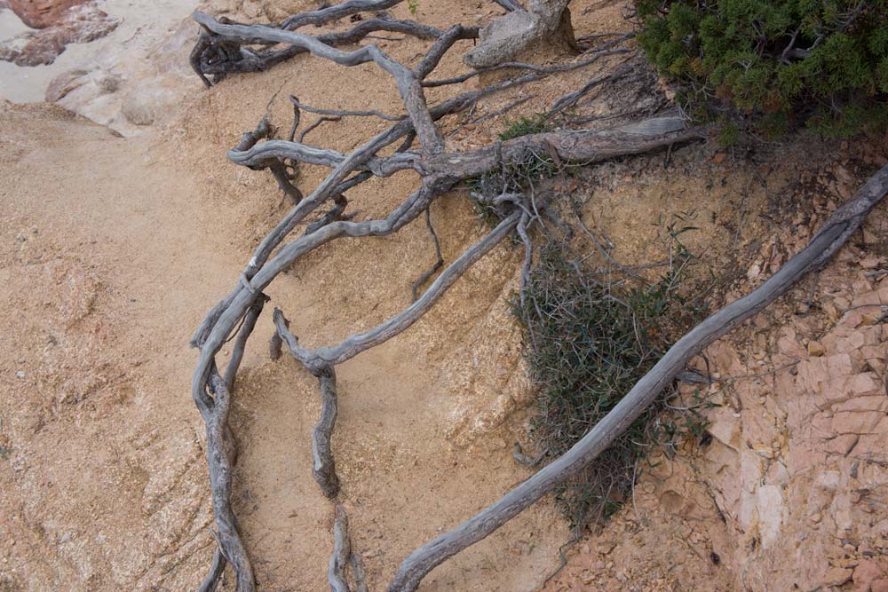 Voyage en Corse Palombaggia