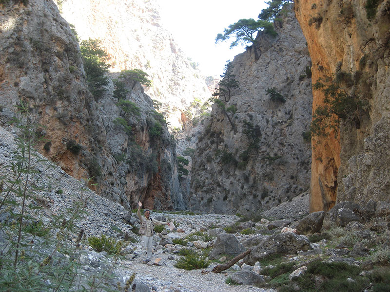 Gorges Aradena