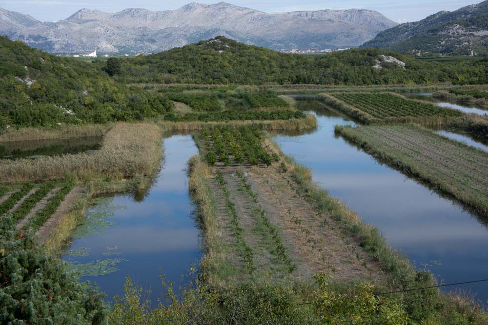 Voyage en Croatie: Lovorje