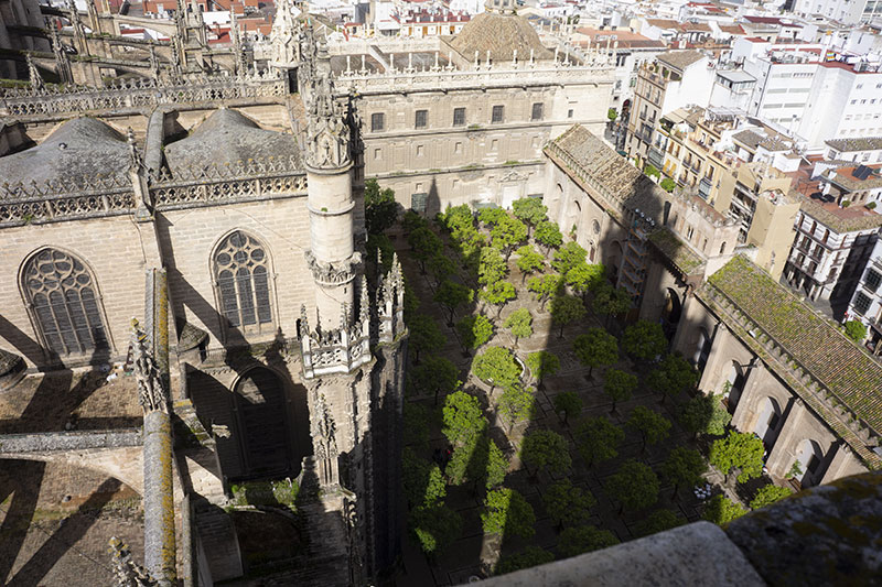 seville cathedrale