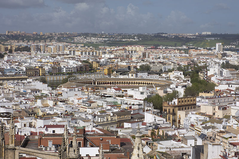 seville cathedrale