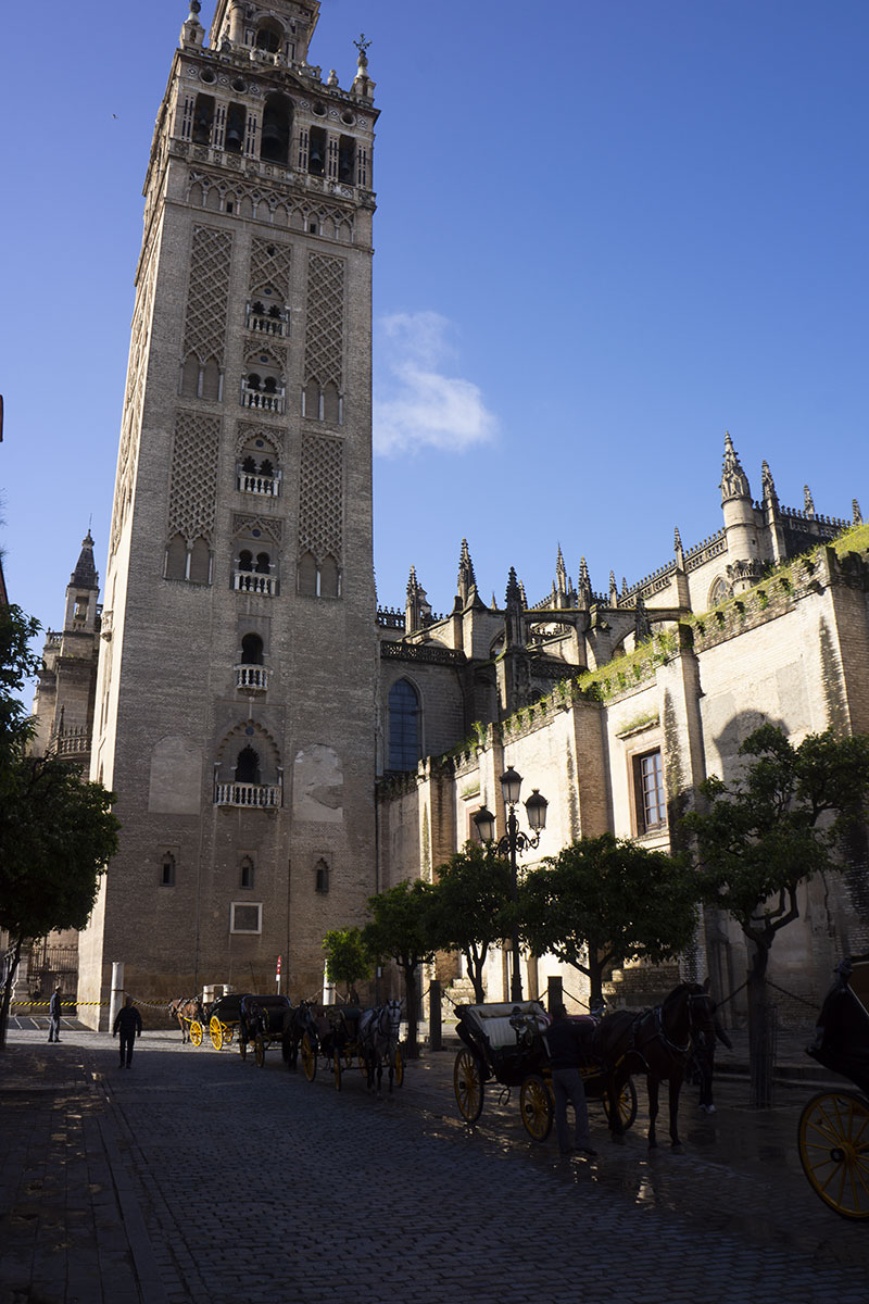 seville cathedrale