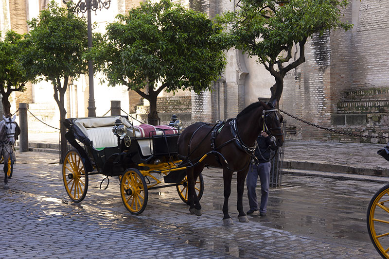 seville cathedrale