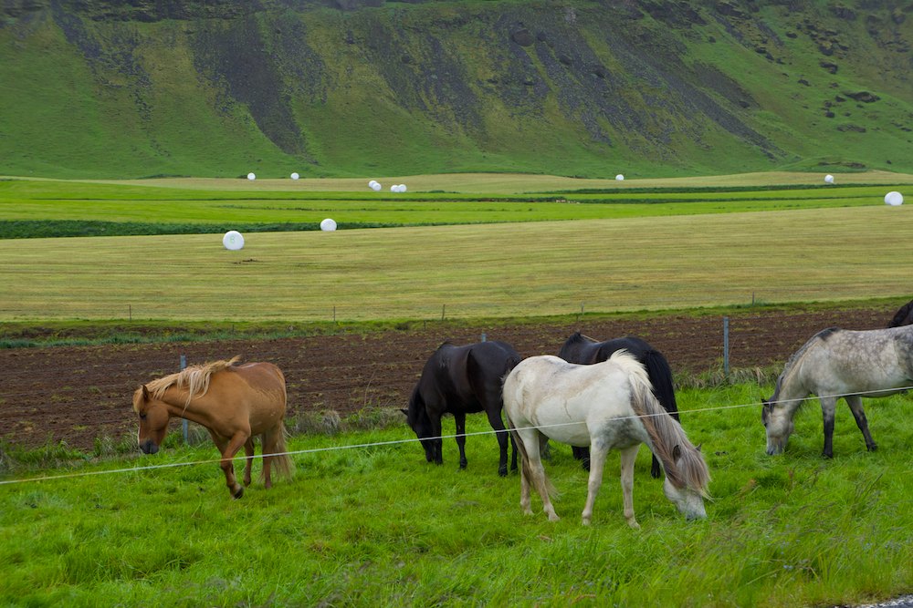 Islande