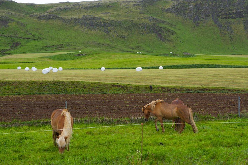 Islande