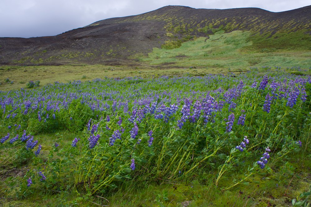 Islande