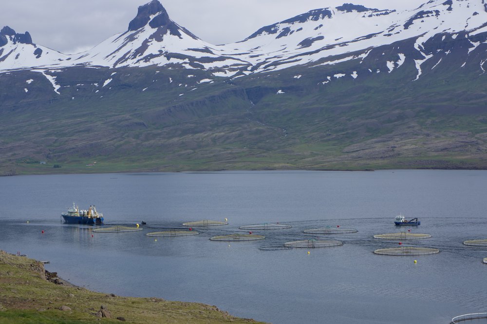 Islande